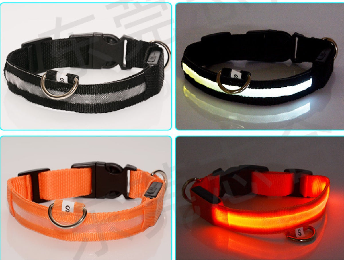 LED Light-Up Dog Collar – USB Rechargeable Night Safety Collar for Dogs