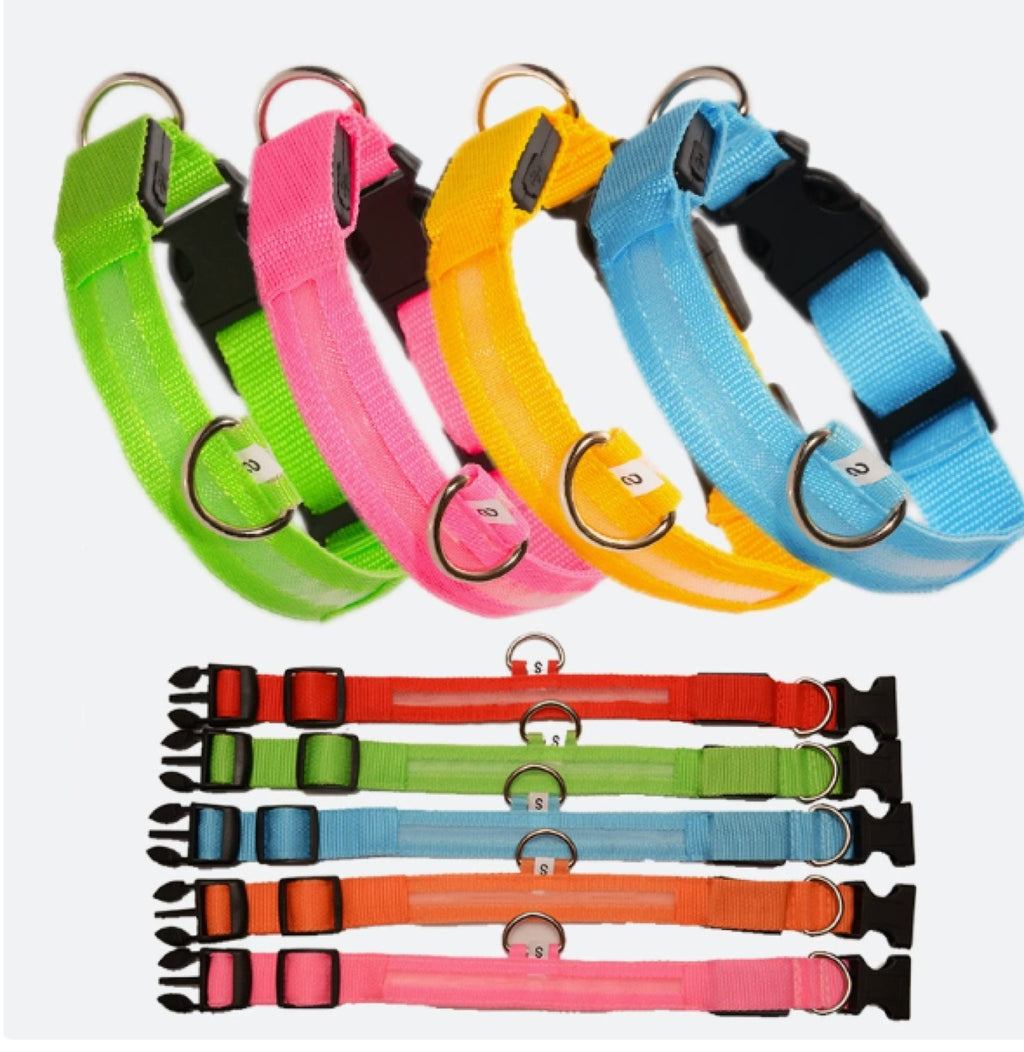 LED Light-Up Dog Collar – USB Rechargeable Night Safety Collar for Dogs