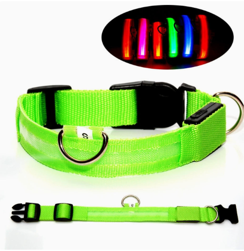 LED Light-Up Dog Collar – USB Rechargeable Night Safety Collar for Dogs
