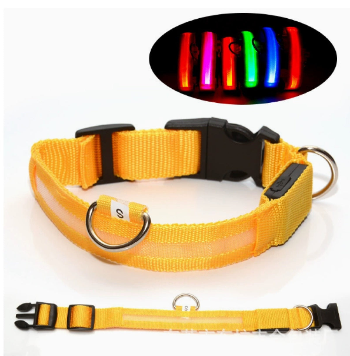LED Light-Up Dog Collar – USB Rechargeable Night Safety Collar for Dogs
