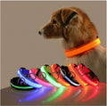 LED Light-Up Dog Collar – USB Rechargeable Night Safety Collar for Dogs