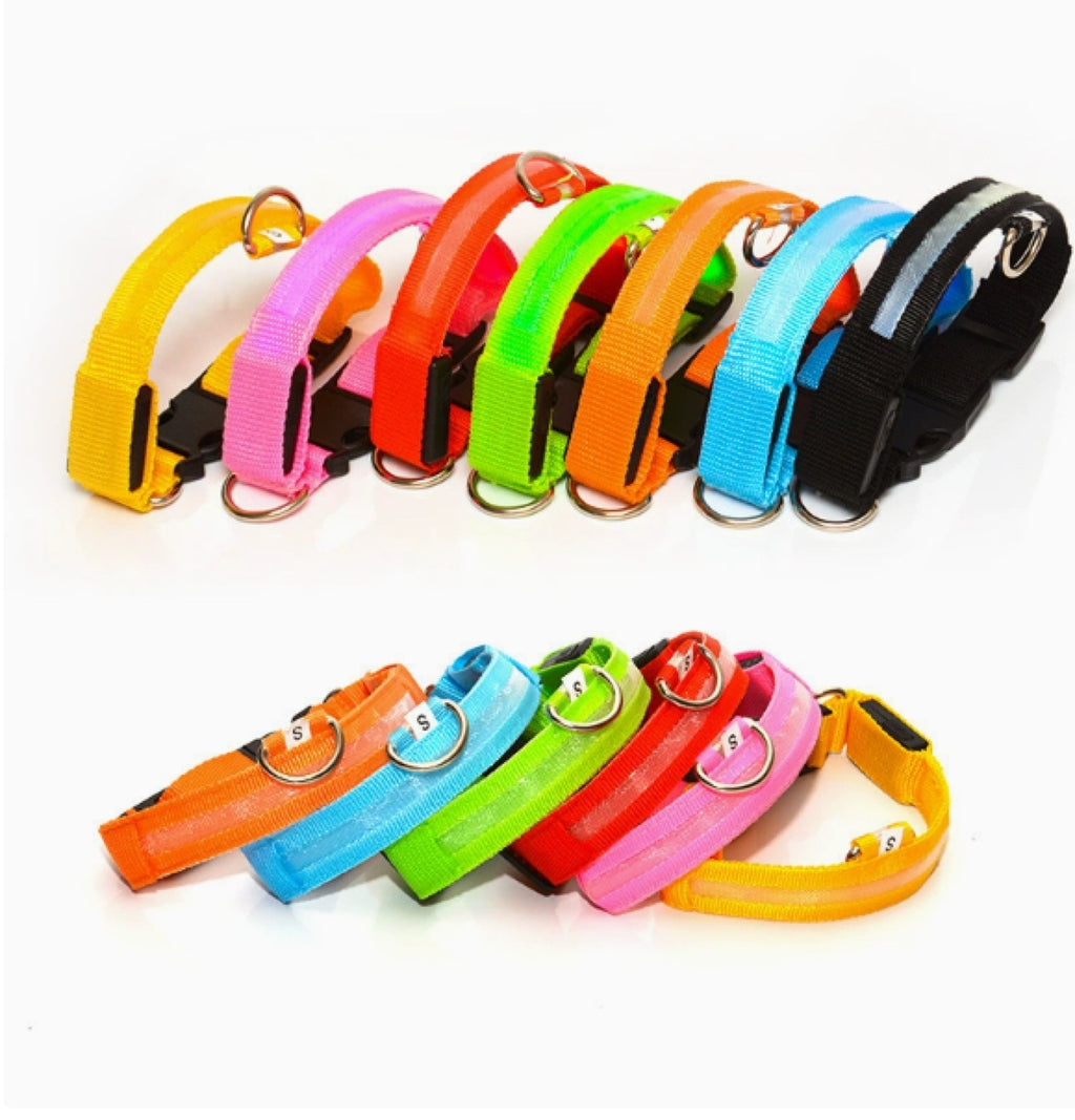 LED Light-Up Dog Collar – USB Rechargeable Night Safety Collar for Dogs