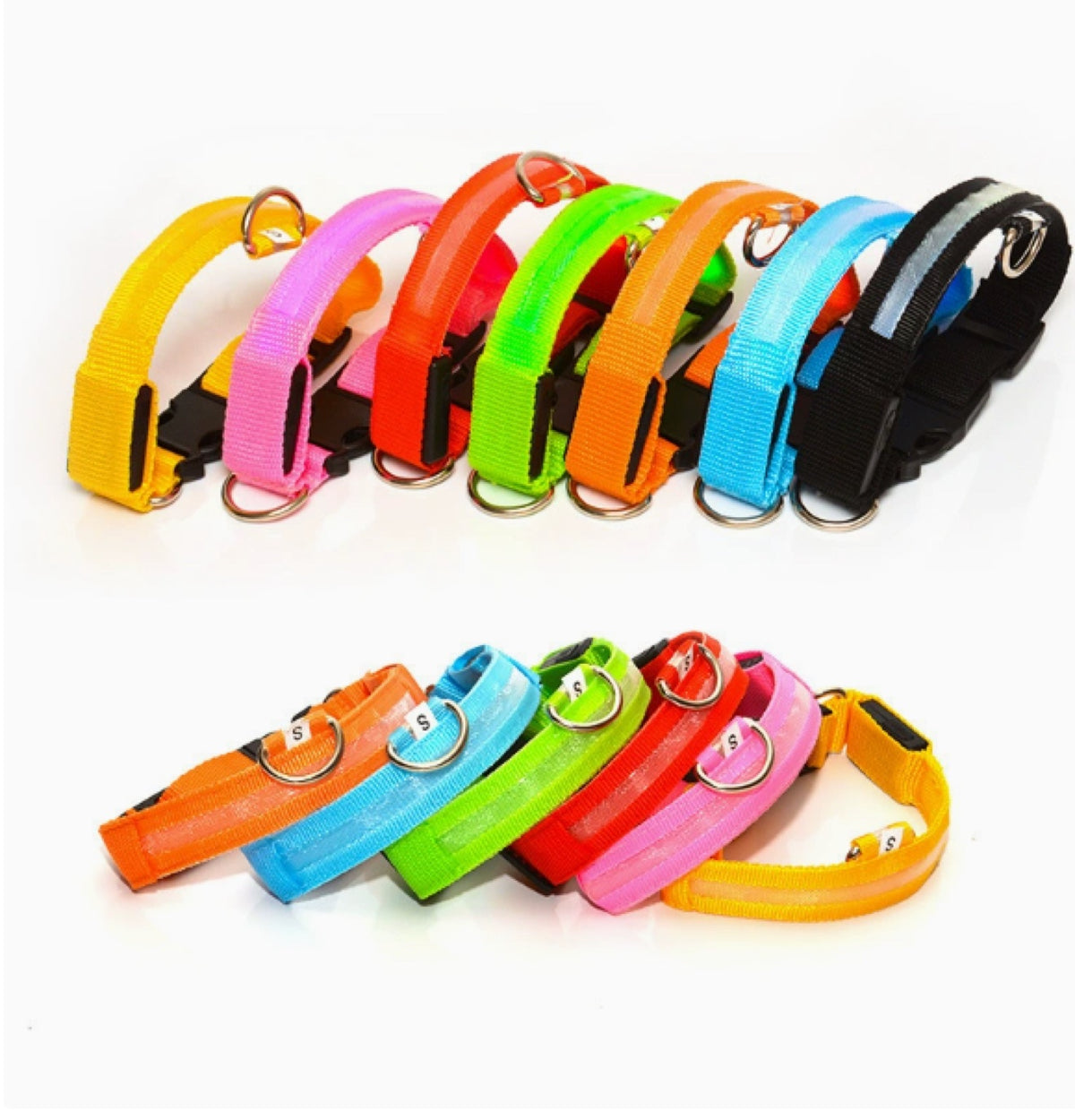 LED Light-Up Dog Collar – USB Rechargeable Night Safety Collar for Dogs