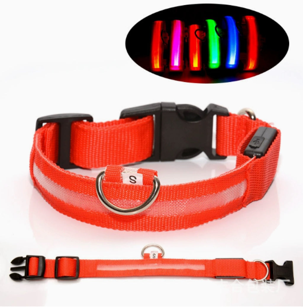 LED Light-Up Dog Collar – USB Rechargeable Night Safety Collar for Dogs