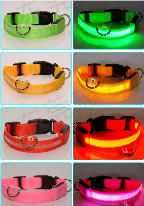 LED Light-Up Dog Collar – USB Rechargeable Night Safety Collar for Dogs