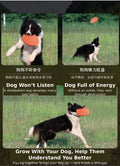Play & Wash Bundle — Flying Disc + Bottle-Cap Paw Washer