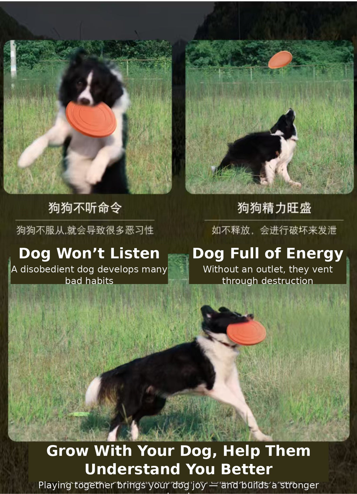 Play & Wash Bundle — Flying Disc + Bottle-Cap Paw Washer
