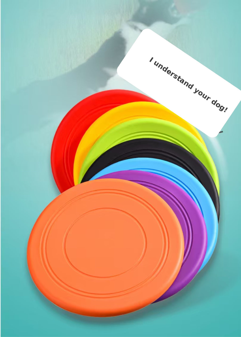 Play & Wash Bundle — Flying Disc + Bottle-Cap Paw Washer