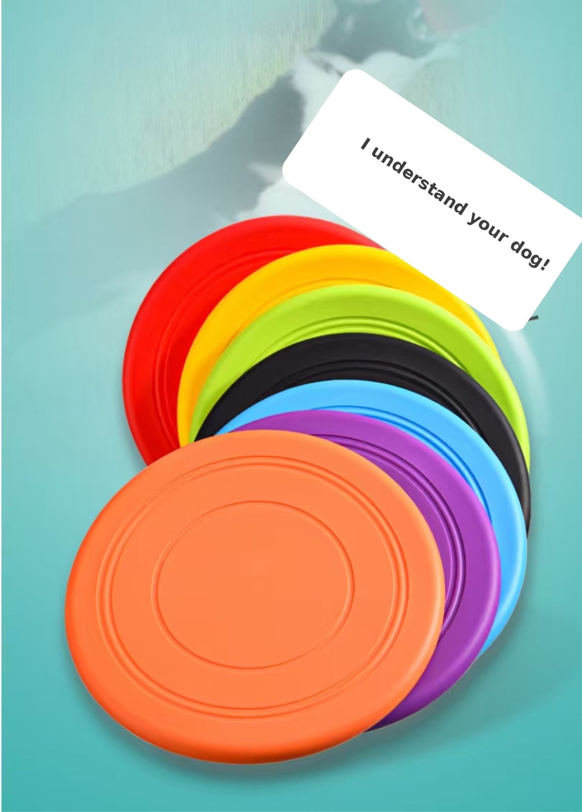 Play & Wash Bundle — Flying Disc + Bottle-Cap Paw Washer