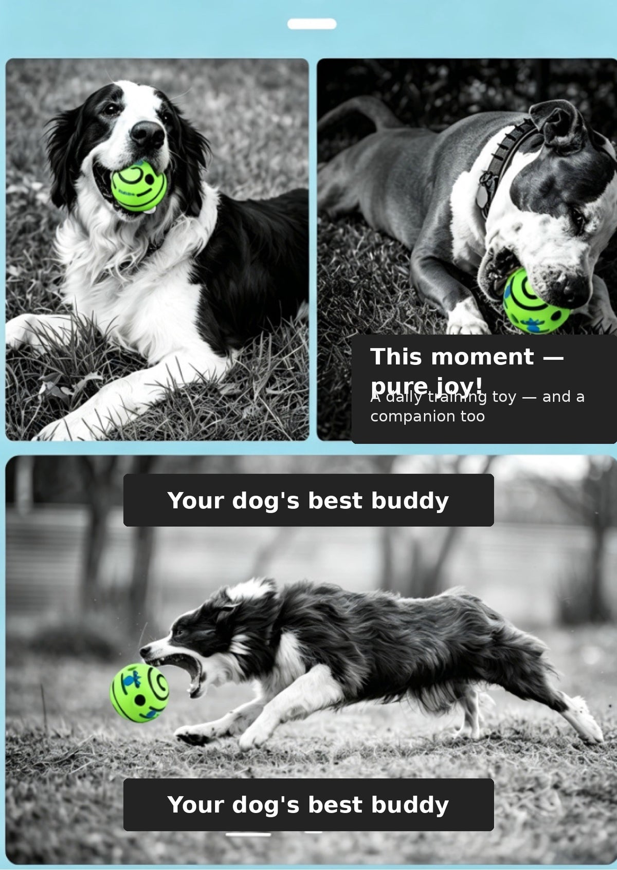Play & Wash Bundle — Giggle Ball + Bottle-Cap Paw Washer