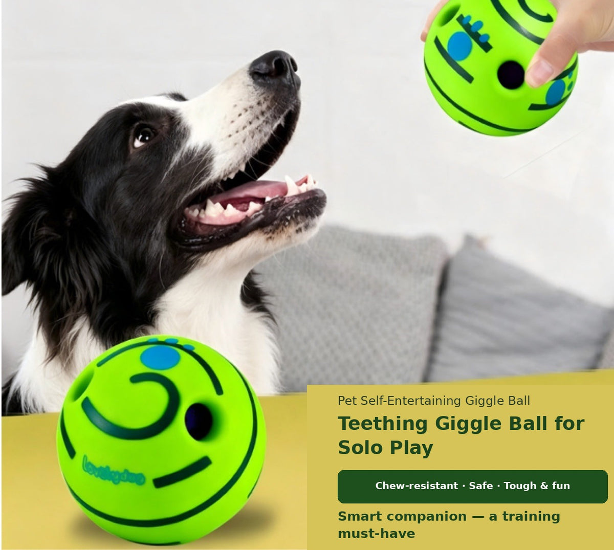 Play & Wash Bundle — Giggle Ball + Bottle-Cap Paw Washer
