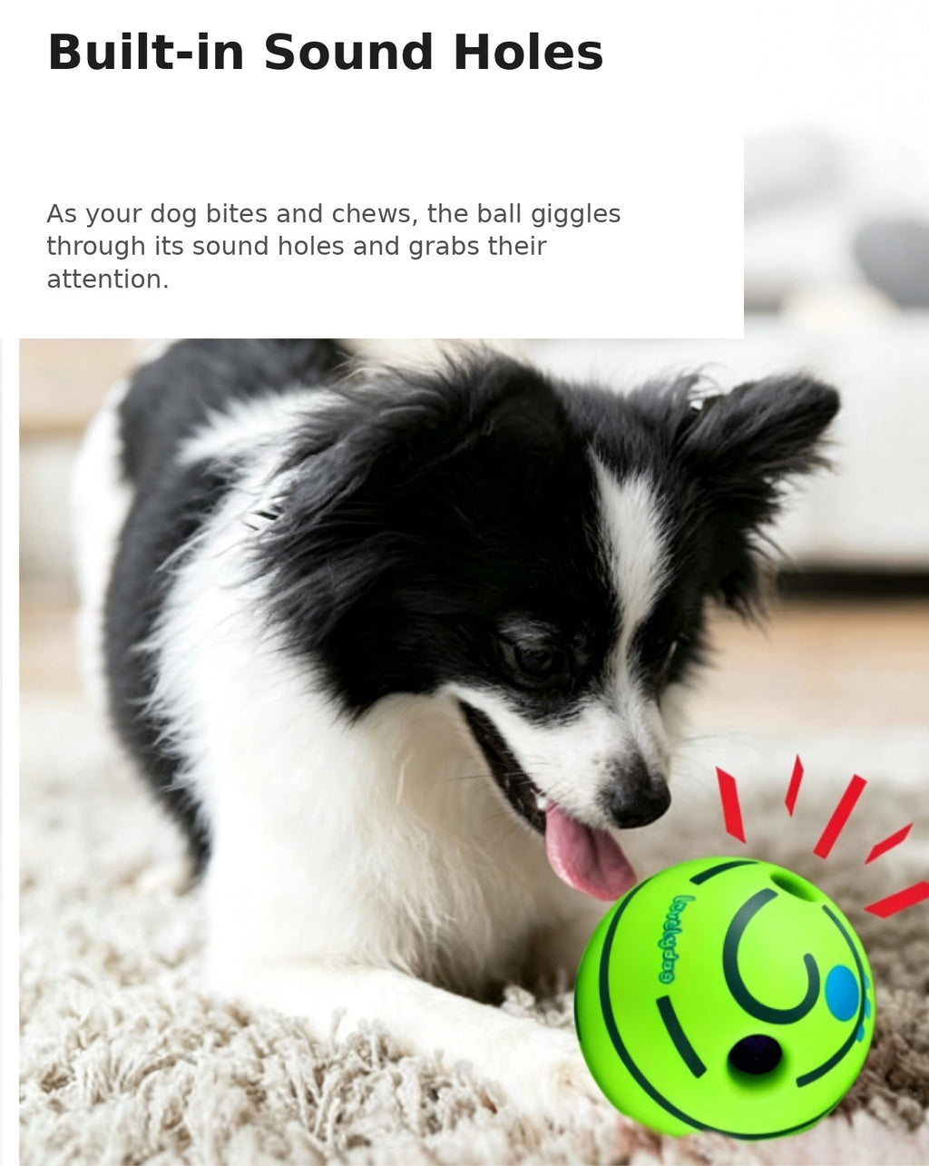 Play & Wash Bundle — Giggle Ball + Bottle-Cap Paw Washer