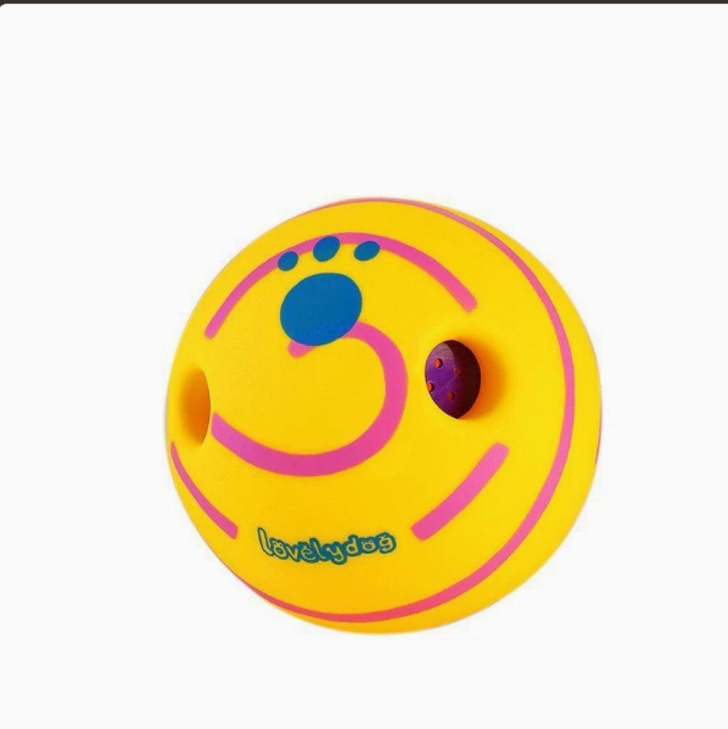 Play & Wash Bundle — Giggle Ball + Bottle-Cap Paw Washer