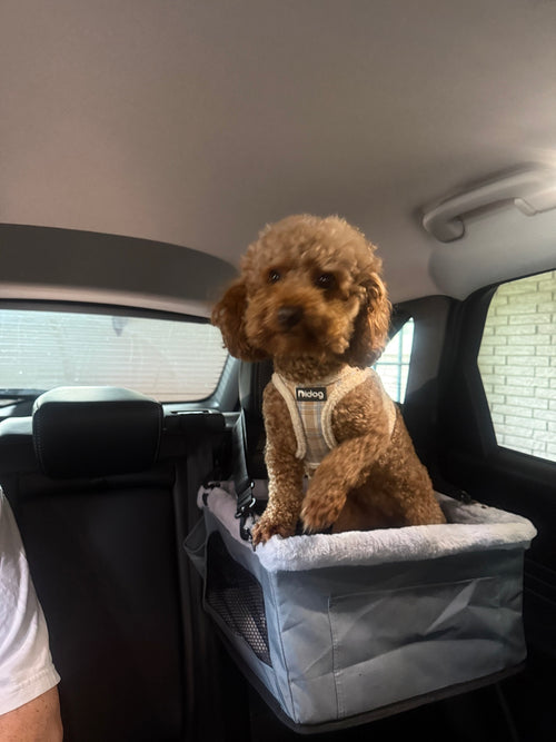 Hanging Dog Car Booster Seat | Headrest-Mounted Elevated Seat for Small Dogs up to 15 lbs