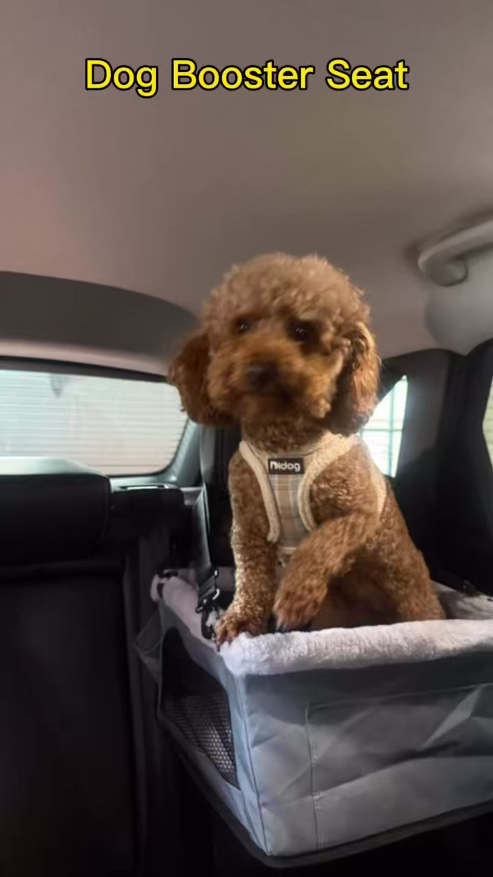 Hanging Dog Car Booster Seat | Headrest-Mounted Elevated Seat for Small Dogs up to 15 lbs