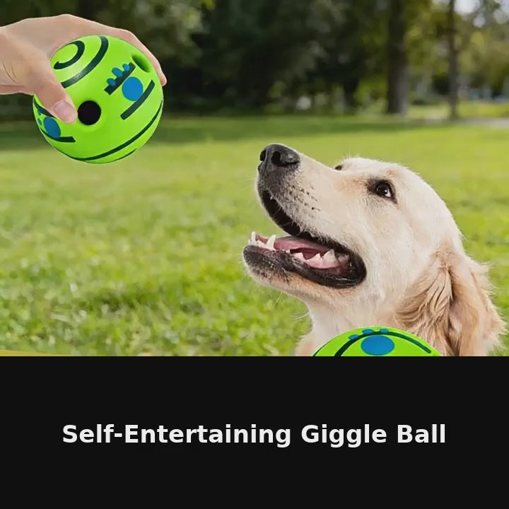 Play & Wash Bundle — Giggle Ball + Bottle-Cap Paw Washer